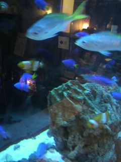 �p�Z���Ɉړ�