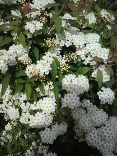 ���U�����a