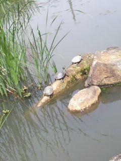 �b������