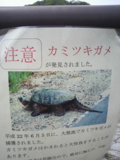 �q�B�B�B�\