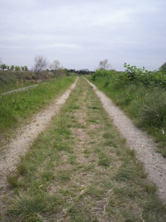 ����ȓ����Ă��Ă�))