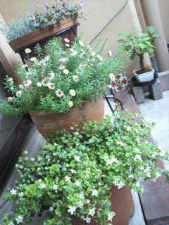 ���������΁B