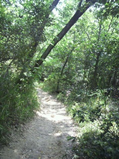 ���肪����B