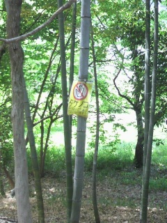 �Ƃ�����_��