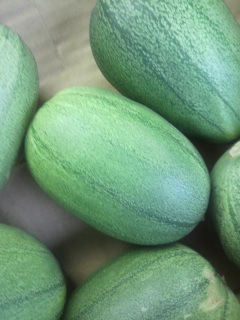 �������105�~