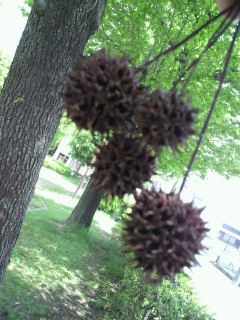 �A���o�[�o�[��