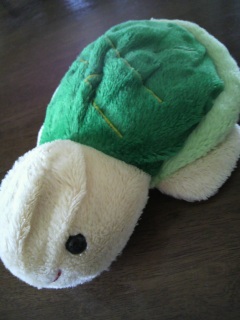 �C�C���V�C