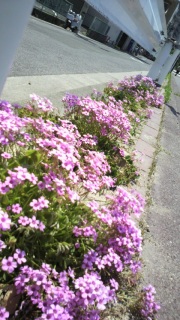 �������e�N�e�N