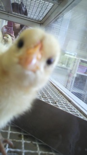 �{�P�{�P������