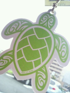 ����Ă��[��