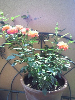 ���`�݂���������