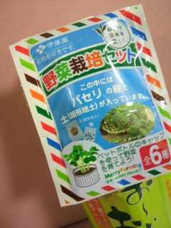 ���`�� ������