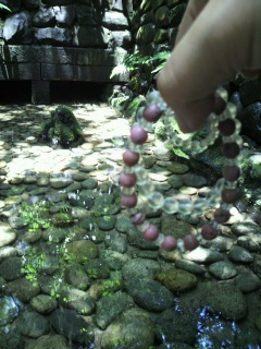 �肢�̊����N��