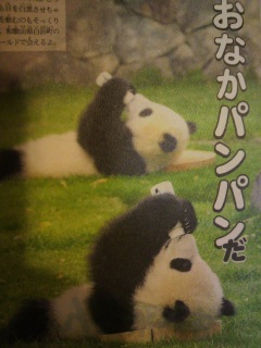 ���ʂ��Ă鎕��҂�