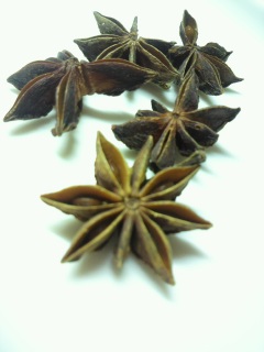 �X�^�[�A�j�X