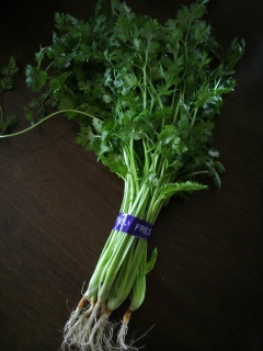 �p�N�`�[������Ȃ������鎄