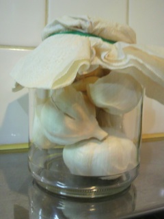 �K�[���b�N��