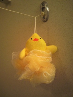 �o�X���[����