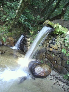 �}�C�i�X������`