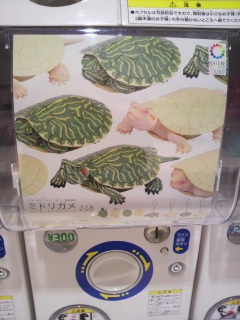 �J���K�`��