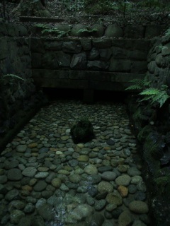 �����Ă܂�