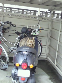 ���`������������