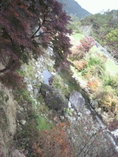 �g�t���݂ɂ���