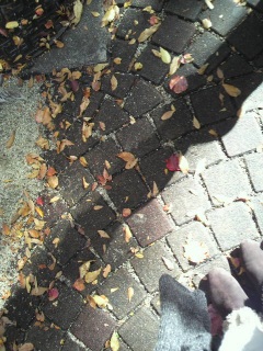 �ł� ������