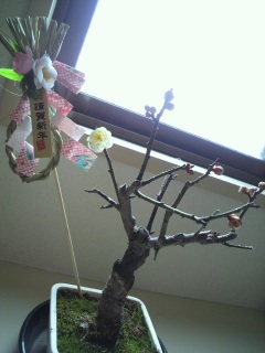 �������̊Ԃ�