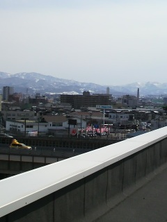 ���͂悤�ΐ�