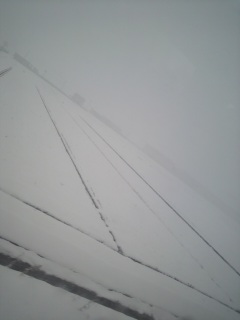 ��ʐ^����!!!