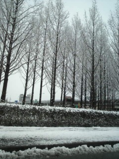 �A��̃^�N�V�[�̒��ŎB�����ʐ^