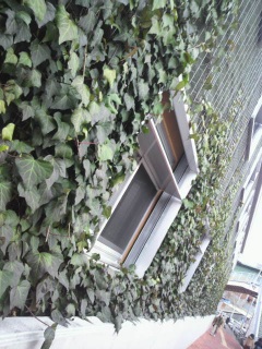 ���É���