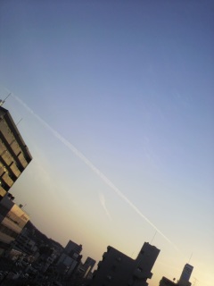 �[���̕���