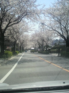 �ԑ�����