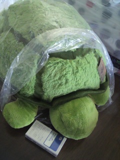 �����������B