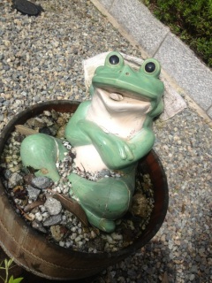 ���C����