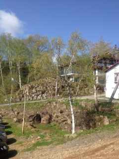 �R�̏�̃��b�W