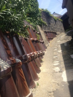 �Ƃ���ǂ���