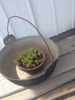 �����G�݉�����