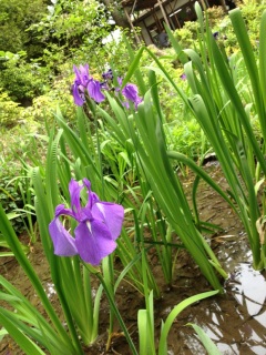 �J�L�c�o�^