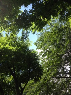 �������V�C