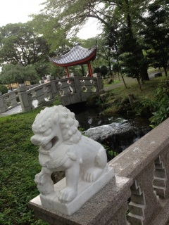 �����F�D����