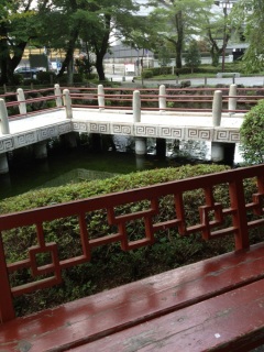 �v���v����