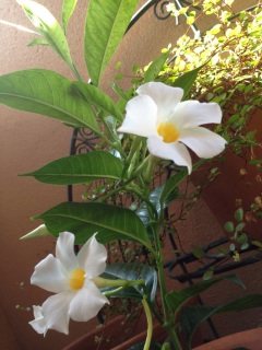 ���͂悤�IWEDNESDAY