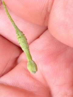 �S�[�������̂��̌�