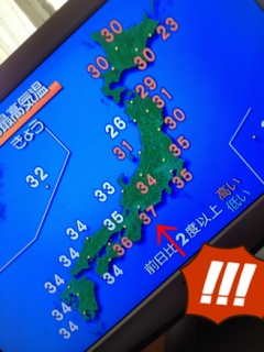 �{��������̏������C