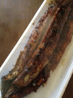 �y�p�̉N�̓�