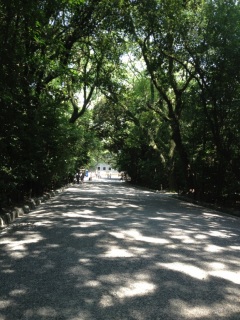 �M�c�_�{��