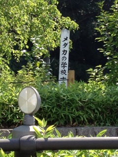 �߂����̊w�Z�𔭌�